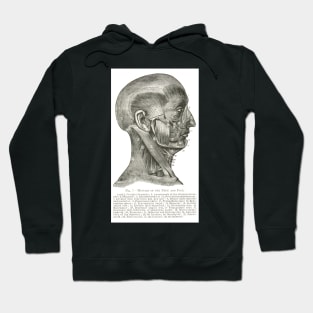 Muscles of the Face and Neck, 19th century illustration Hoodie